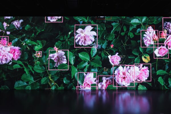 Signal Festival rozzářil i areál Pražského hradu, zdroj Signal festival