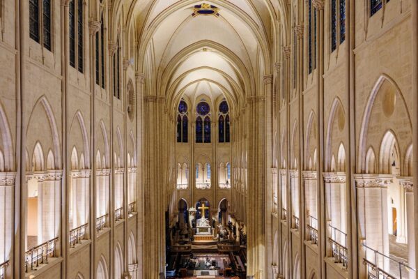 Obnova katedrály Notre-Dame v Paříži, zdroj FB Rebâtir Notre-Dame de Paris, foto Patrick Zachmann