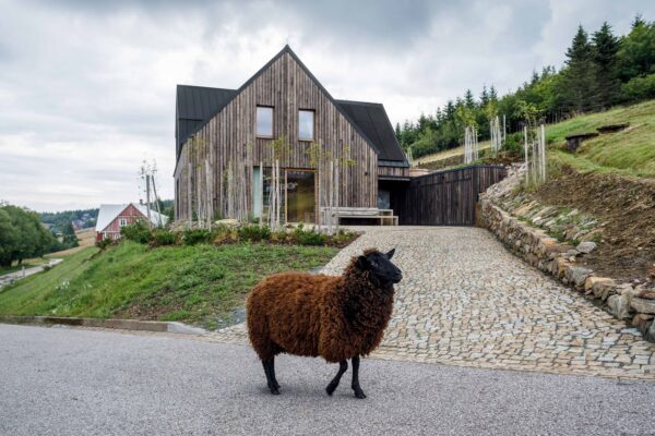 Rodinná bouda v Krkonoších, autoři OK PLAN ARCHITECTS, foto Anna Pleslová