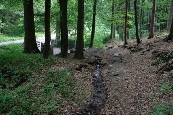 Lávka ke studánce