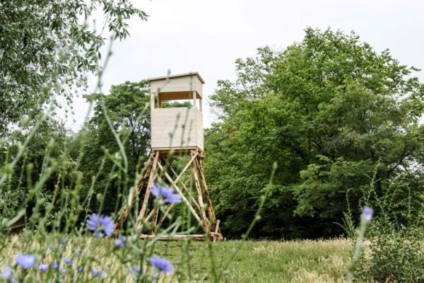 Landscape festival pokračuje