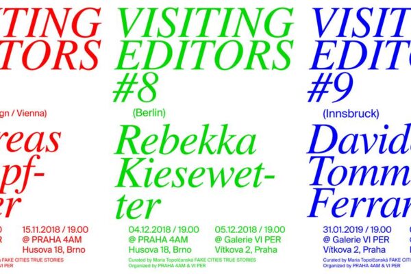 Visiting Editors #7 - Andreas Rumpfhuber (Vienna)
