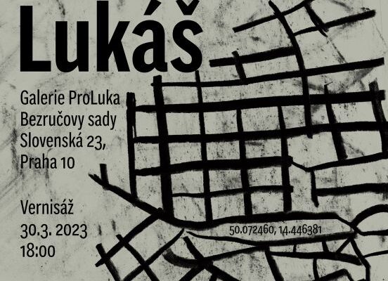 Výstava Lukáše Procházky