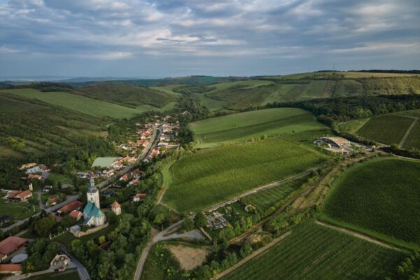 Gurdau vinařství